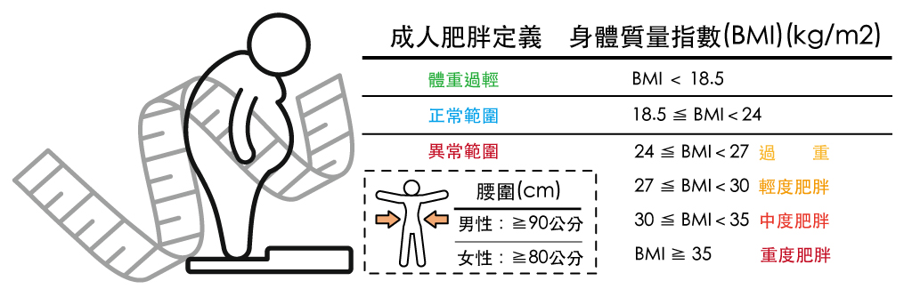 Devieclinic 體脂檢測分析